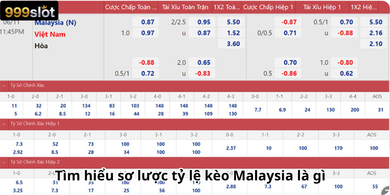 Tìm hiểu sơ lược tỷ lệ kèo Malaysia là gì