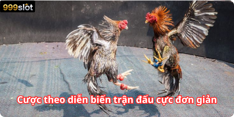 Cược theo diễn biến trận đấu cực đơn giản