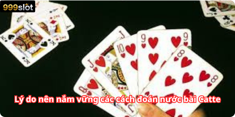 Lý do nên nắm vững các cách đoán nước bài Catte