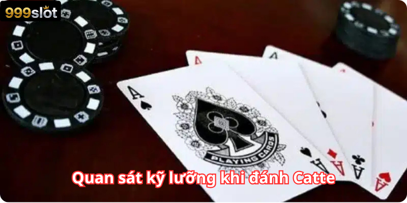 Quan sát kỹ lưỡng khi đánh Catte